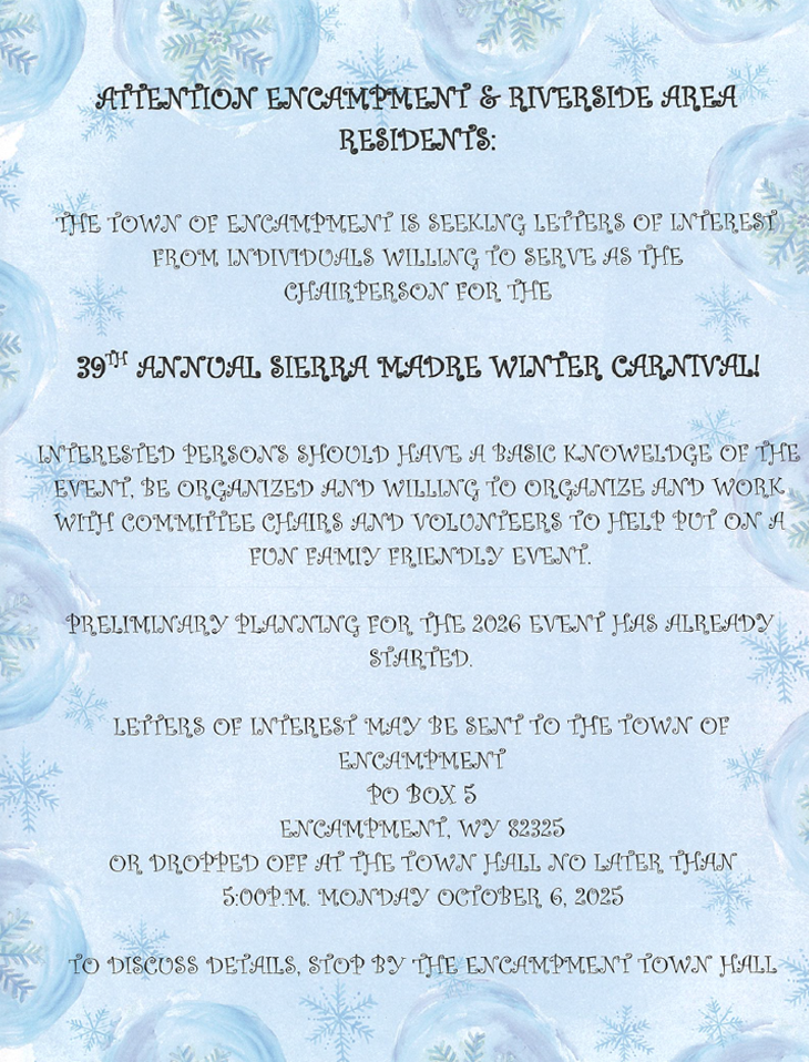 Winter Carnival Chairperson Application Flyer